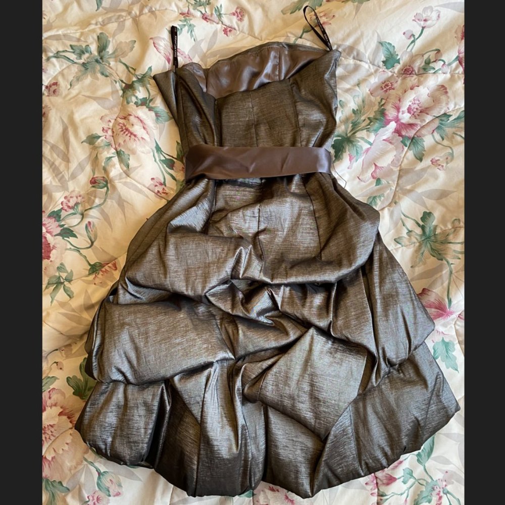 SILVER STRAPLESS SILVER DRESS with sash